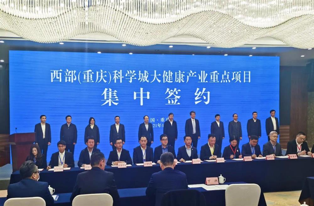 图片11